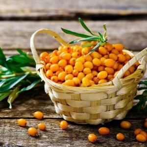 Sea Buckthorn Berries | Premium Dried Sea Buckthorn | Tangy & Nutrient-Rich Superfruit